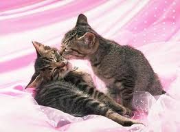 une tendresse