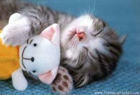 un calin