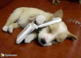 allo?