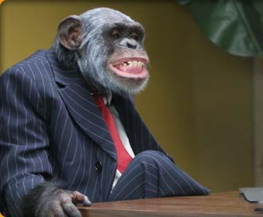 president monkey
