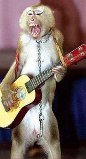 monkey in a rock band