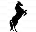 15% Discount On Stud Breeding