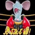 je suis K.O