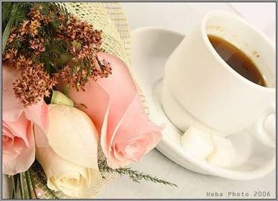 cofe