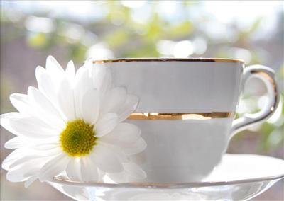 cofe