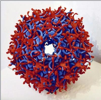 Virus
