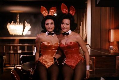 Bunnies
