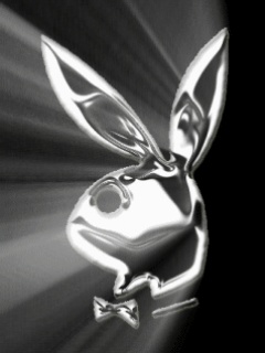 Silver Bunny