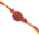 Rudraksh Rakhi