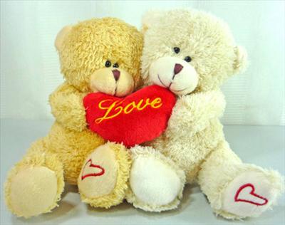 Love Teddys