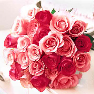 Bundle of Pink Roses