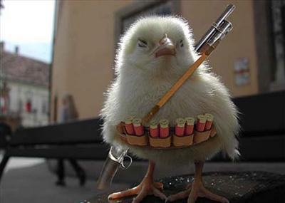Tough chick!