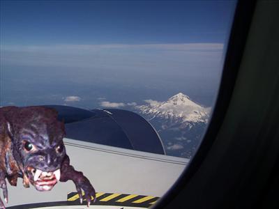 A Chupie on the wing!