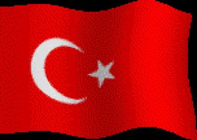TÜRKBAYRAĞI1