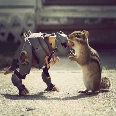 Chipmunk & Robot Fight 4 Nut