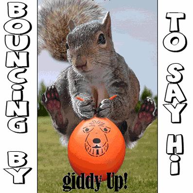 Bouncing By 2 Say Hi!
