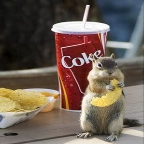 Chipmunk With Nacho's & Cola
