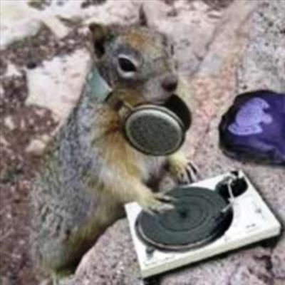 DJ Squirrel