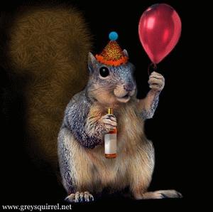 Squirrel Birthday