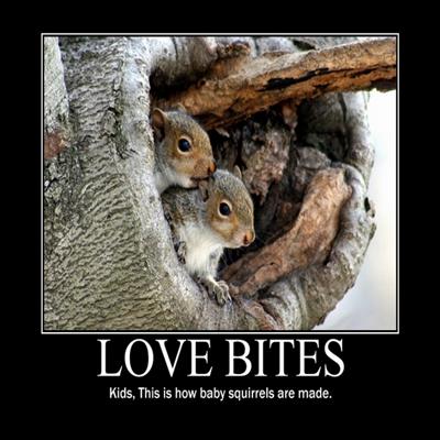 Love Bites