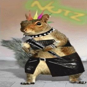 Punk Squirrel