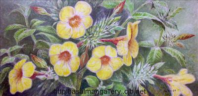 Alamanda 3