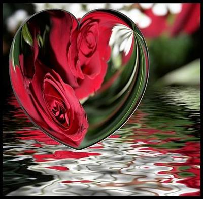 Heart Bubbles