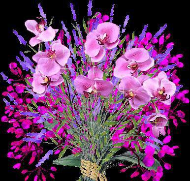 Violet Flowers