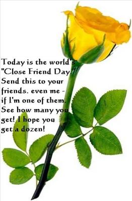 Yellow Rose