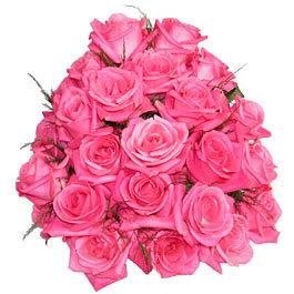 Bouquet of Roses