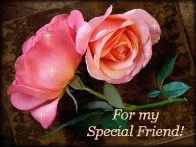 Pink Rose