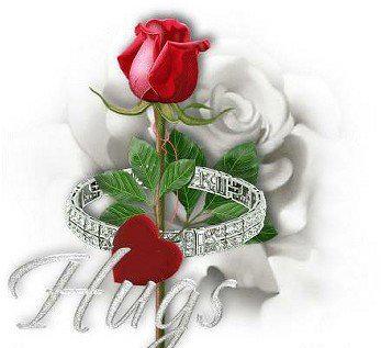 Hug Rose