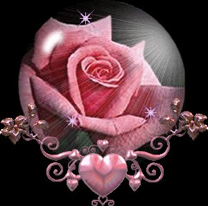 Pink Rose