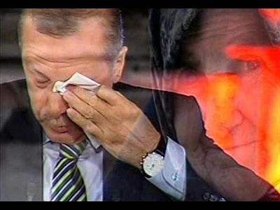 HAYIR 25