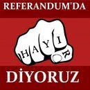 HAYIR 8
