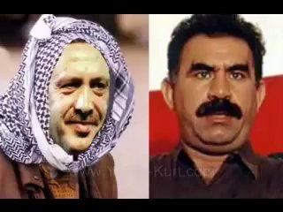 HAYIR 30