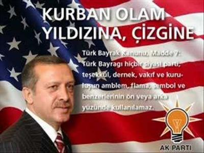HAYIR 15