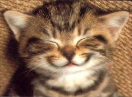 Chat