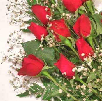 Red Roses