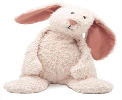 Bunny Rabbit
