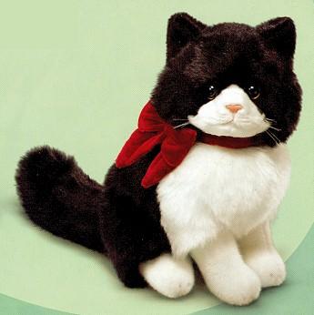 Kitty Cat