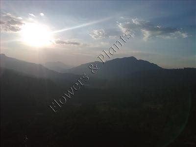Scenery 01