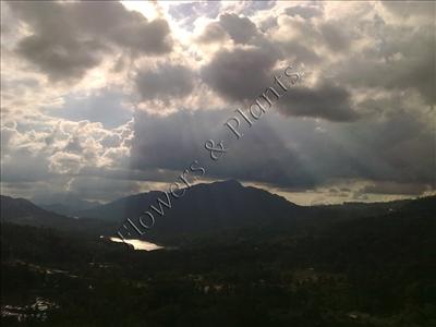 Scenery 15