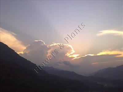 Scenery 09