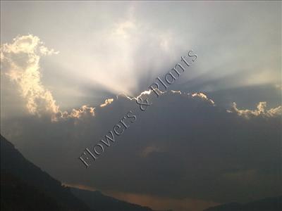 Scenery 02