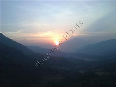 Scenery 03