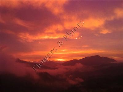 Scenery 14