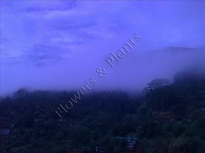 Scenery 07