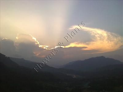 Scenery 08