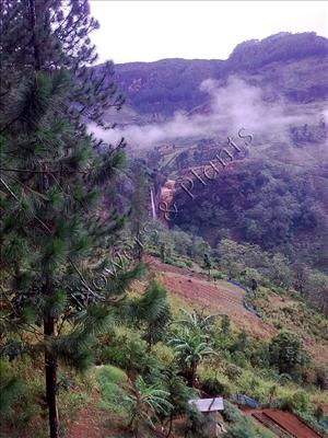 Scenery 06